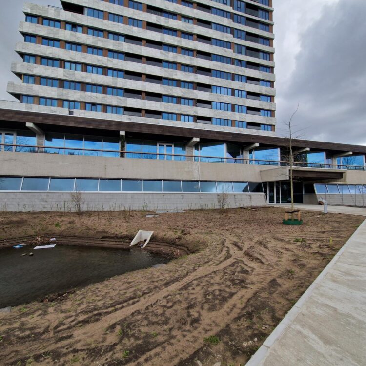 Project - Goodhabitz - 2