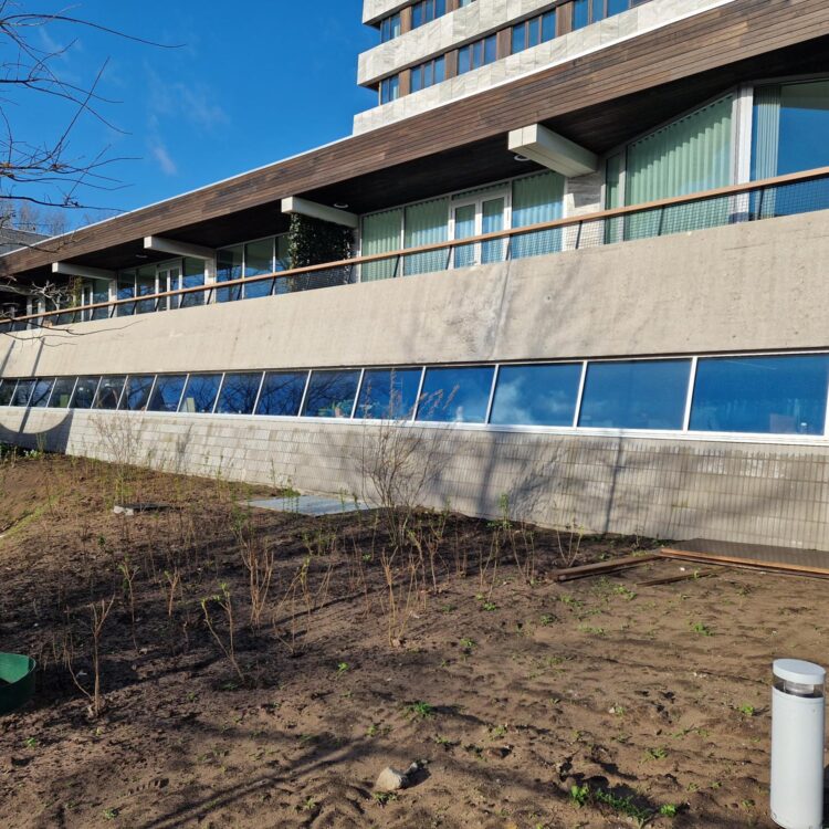 Project - Goodhabitz - 5