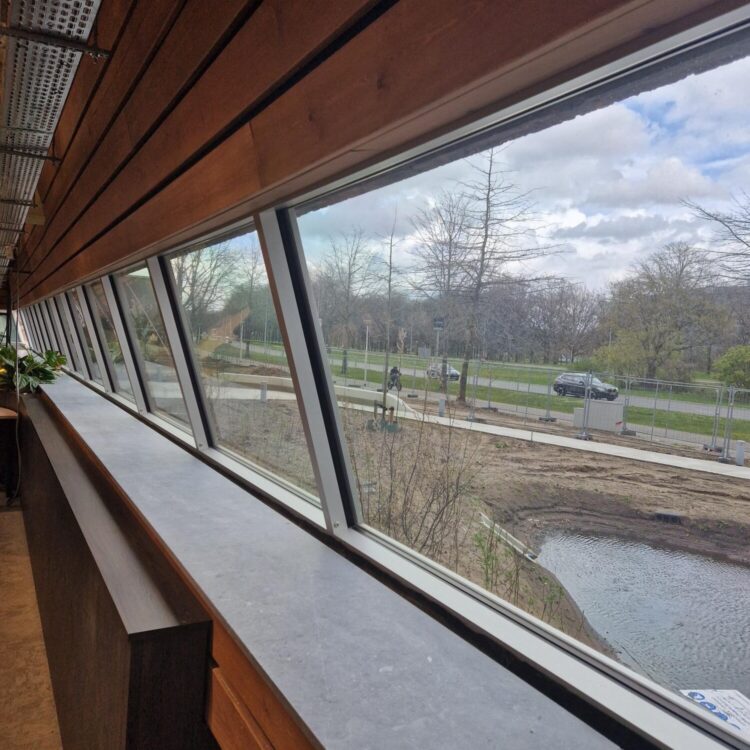 Project - Goodhabitz - 6