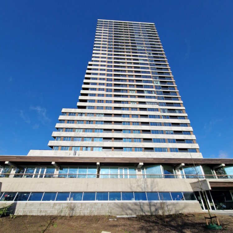 Project - Goodhabitz