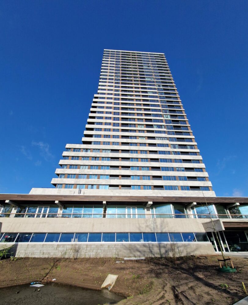 Project - Goodhabitz