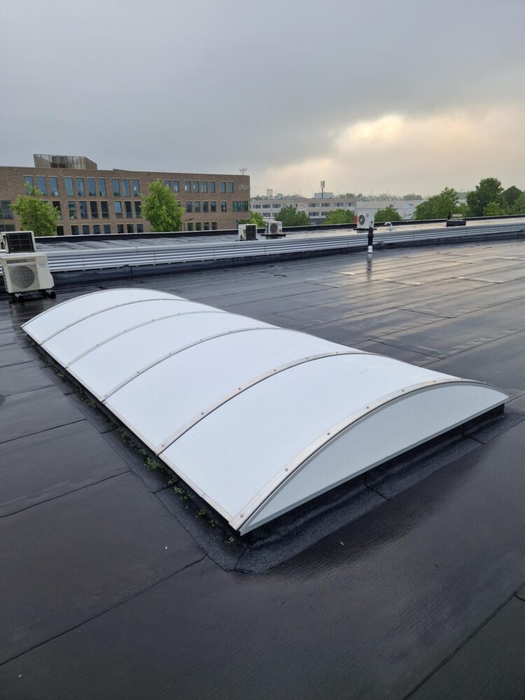Roof shield