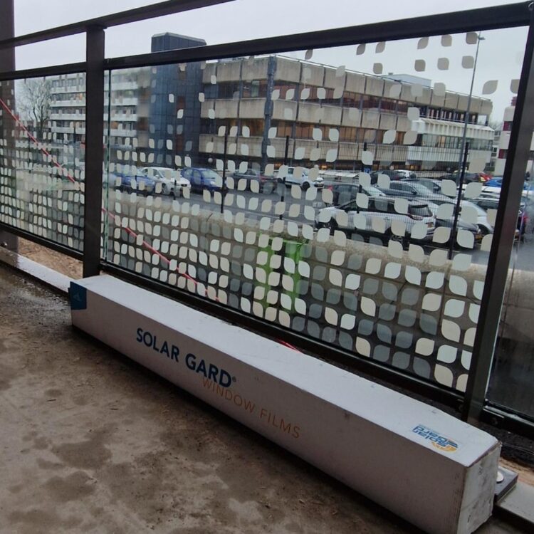 Screenshot_20250130_091841_Gallery