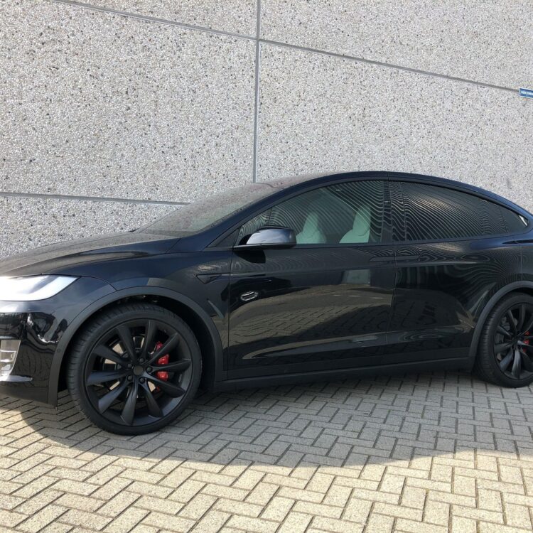 Tesla Model X voorportieren FG40 vanaf Batijl Privacy gl;ass.1