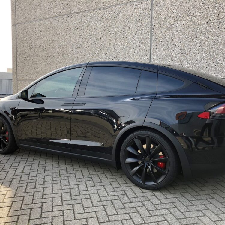 Tesla Model X voorportieren FG40 vanaf Batijl Privacy gl;ass.2