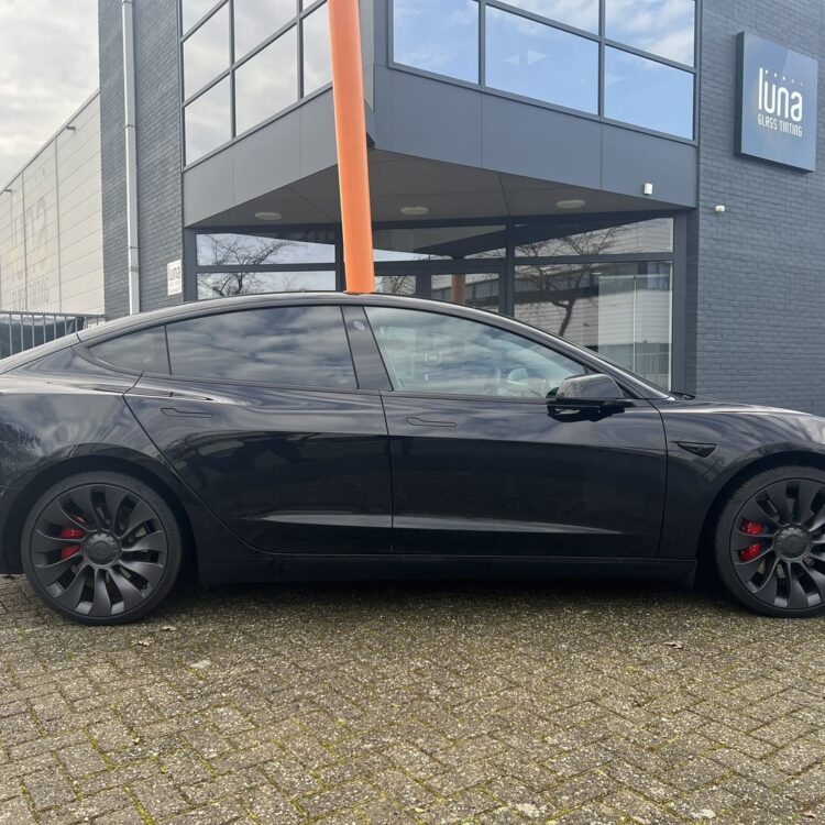 tesla model3 bstijl20