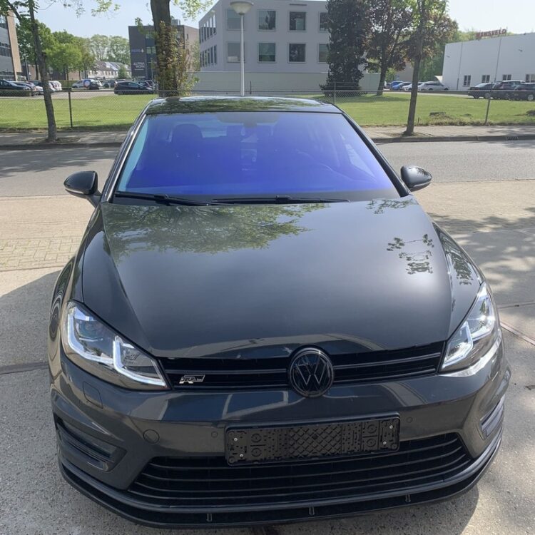 volkswagen polo vr chameleon